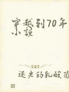 穿越到70年代小说
