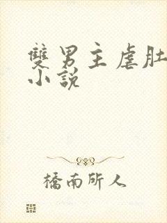 双男主虐肚子的小说