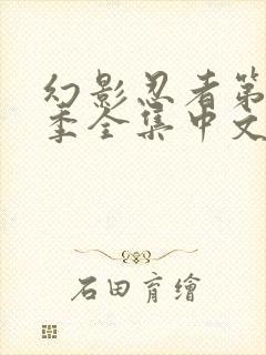 幻影忍者第10季全集中文版