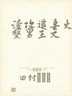 渣攻追妻火葬场双男主文