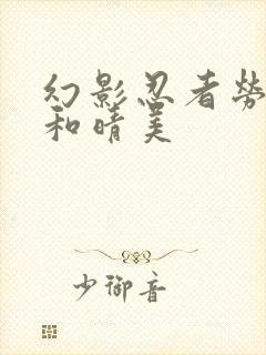 幻影忍者劳埃德和晴美