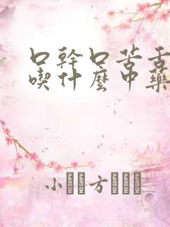 口干口苦舌苔黄吃什么中药