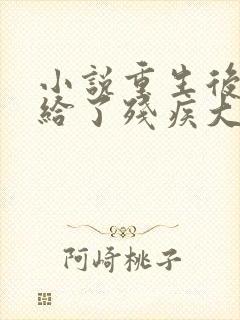 小说重生后我嫁给了残疾大佬