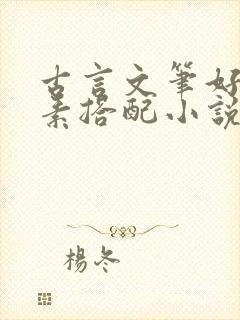 古言文笔好的荤素搭配小说