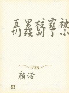 直男校霸被疯批们强制了小说