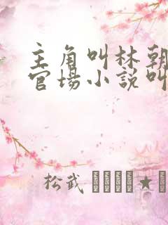 主角叫林朝阳的官场小说叫什么名字