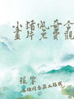 小猪佩奇合集动画片免费观看