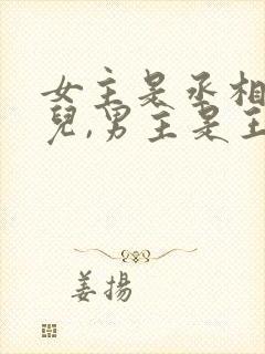 女主是丞相的女儿,男主是王爷