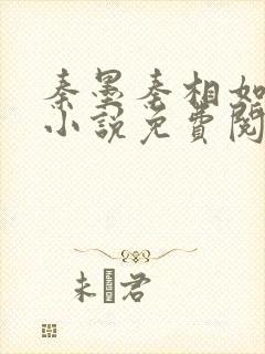 秦墨秦相如穿越小说免费阅读