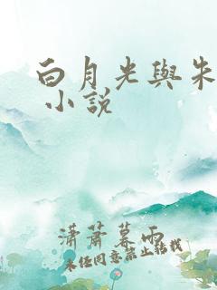 白月光与朱砂痣 小说