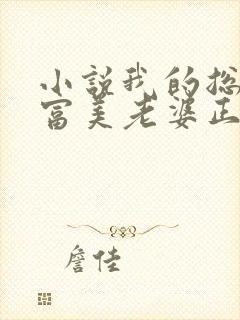 小说我的总裁白富美老婆正版免费