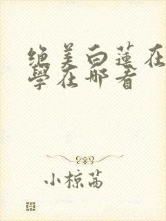 绝美白莲在线教学在哪看