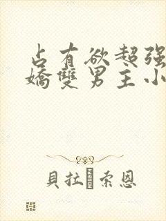 占有欲超强的病娇双男主小说攻受