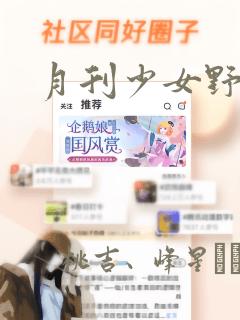 月刊少女野崎君：结局+番外
