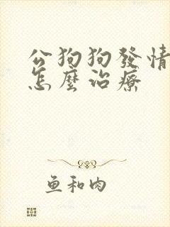 公狗狗发情尿血怎么治疗