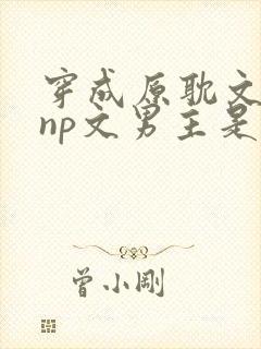 穿成原耽文女配np文男主是恶毒女配小