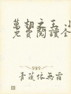 万相之王 小说免费阅读全部章节