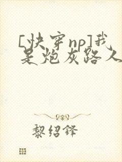 [快穿np]我是炮灰路人甲小说