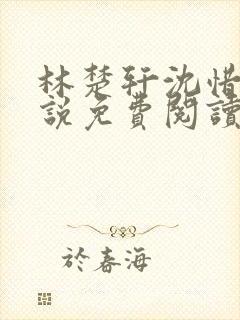 林楚轩沈惜月小说免费阅读最新章节