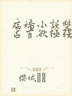 病娇小说双男主占有欲极强