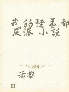 我的徒弟都是大反派 小说