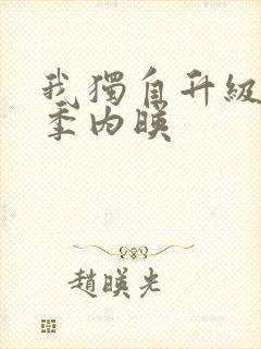 我独自升级第三季内映