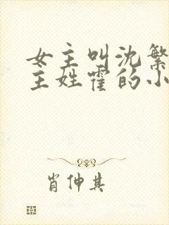 女主叫沈繁星男主姓霍的小说