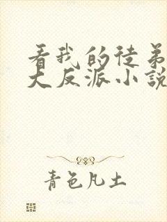 看我的徒弟都是大反派小说