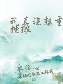 我真没想重生啊梗概