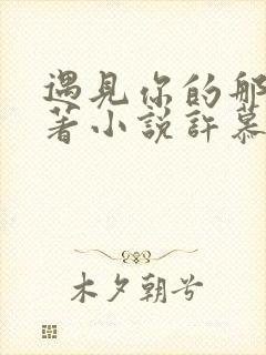 遇见你的那天原著小说许慕谢时