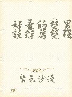 好看的双男主小说推荐双强