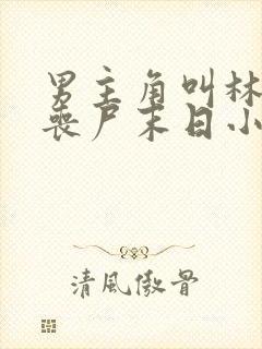 男主角叫林凡的丧尸末日小说