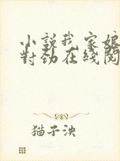 小说我家娘子不对劲在线阅读