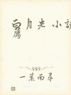 白月光 小说推荐