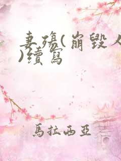 妻殇(崩毁人生)续写