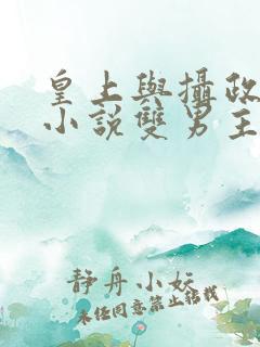 皇上与摄政王的小说双男主