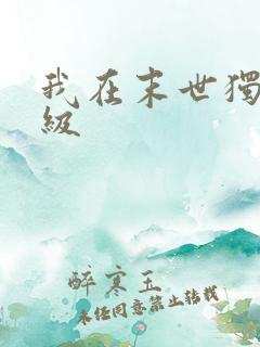 我在末世独自升级