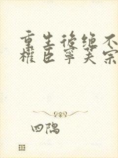 重生后绝不嫁给权臣宁芙宗肆大结局