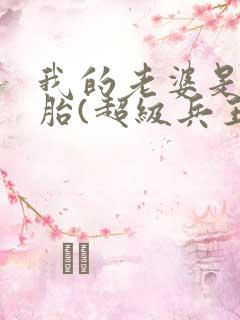 我的老婆是双胞胎(超级兵王在都市)