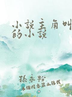 小说主角叫苏浩的小说