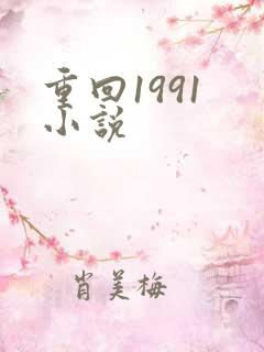 重回1991 小说