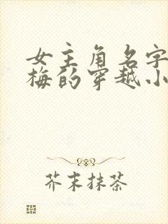 女主角名字里带梅的穿越小说