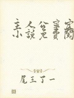 主人公宁宸穿越小说免费阅读