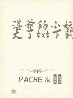 湛爷的小妖精长大了txt下载