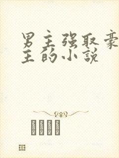 男主强取豪夺女主的小说