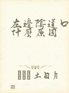 左边阴道口疼是什么原因