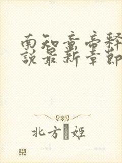 南知意帝释景小说最新章节