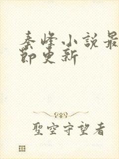 秦峰小说最新章节更新