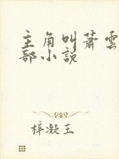 主角叫萧云的全部小说