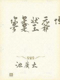 你是状元 但你爹是王爷